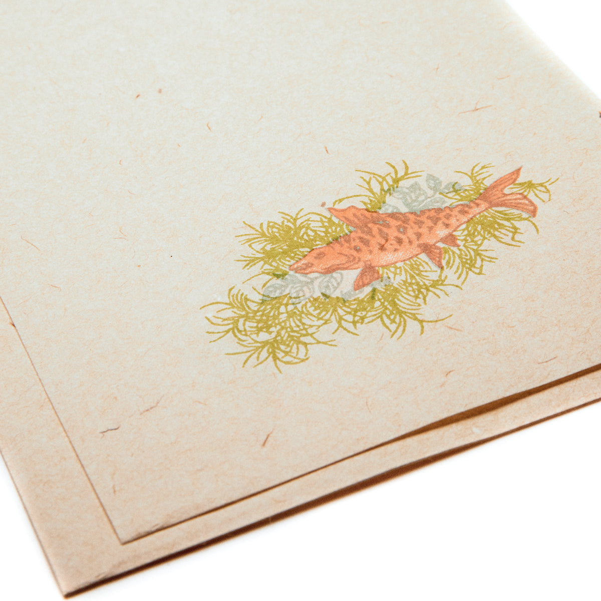 十竹斎 復刻版花箋 流光の鯉 50枚入り