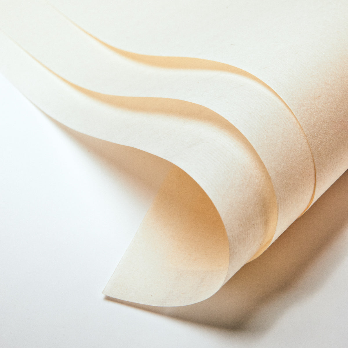 十竹斎 復刻版花箋 流光の鯉 50枚入り