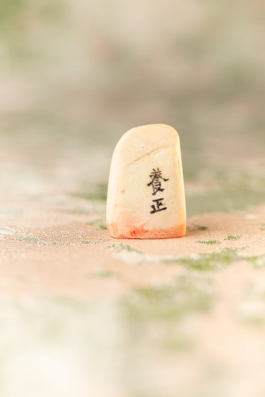 篆刻作品【養正】 遊印